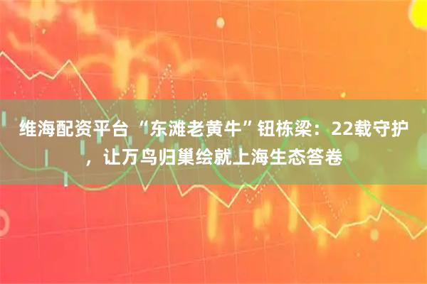 维海配资平台 “东滩老黄牛”钮栋梁：22载守护，让万鸟归巢绘就上海生态答卷